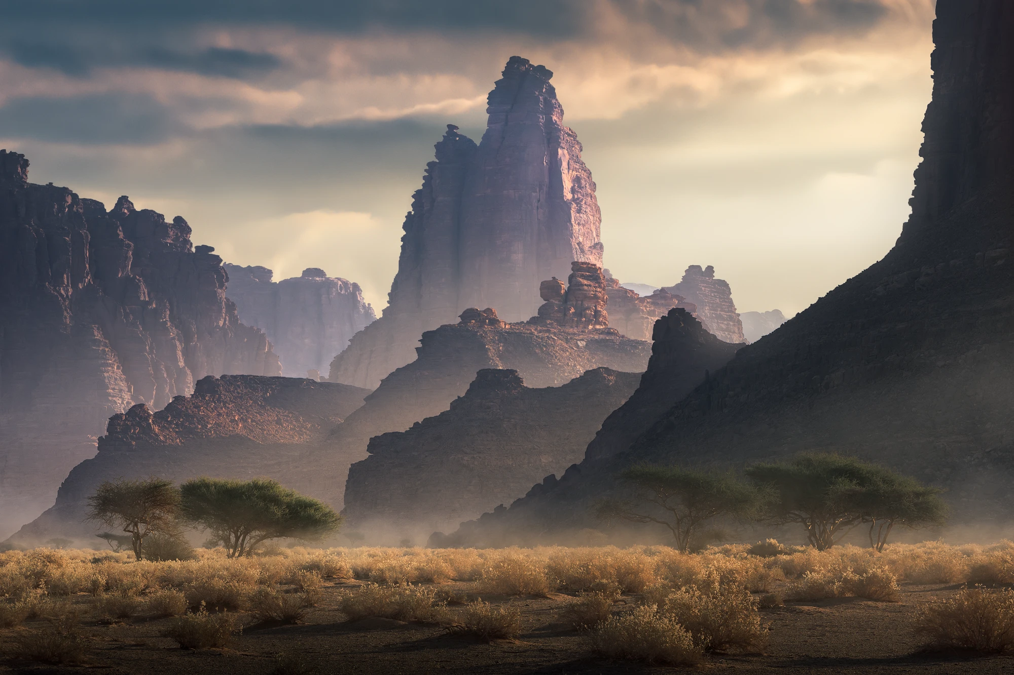 Monolith rock formation at sunrise in Tabuk, Saudi Arabia with desert valley and acacia trees