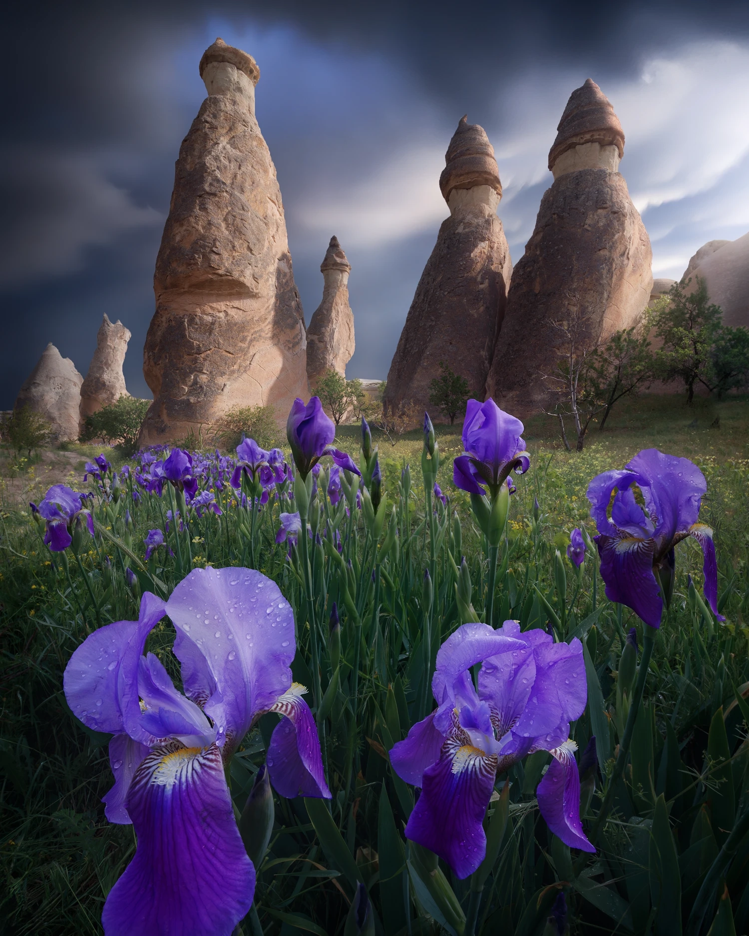 cappadocia landscape with fairy chimneys and flowers