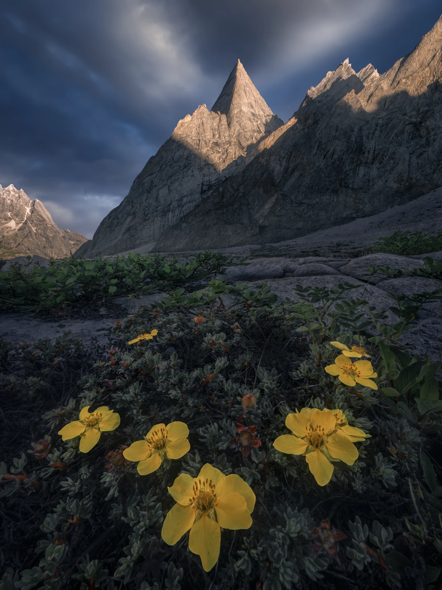 Summit of Light