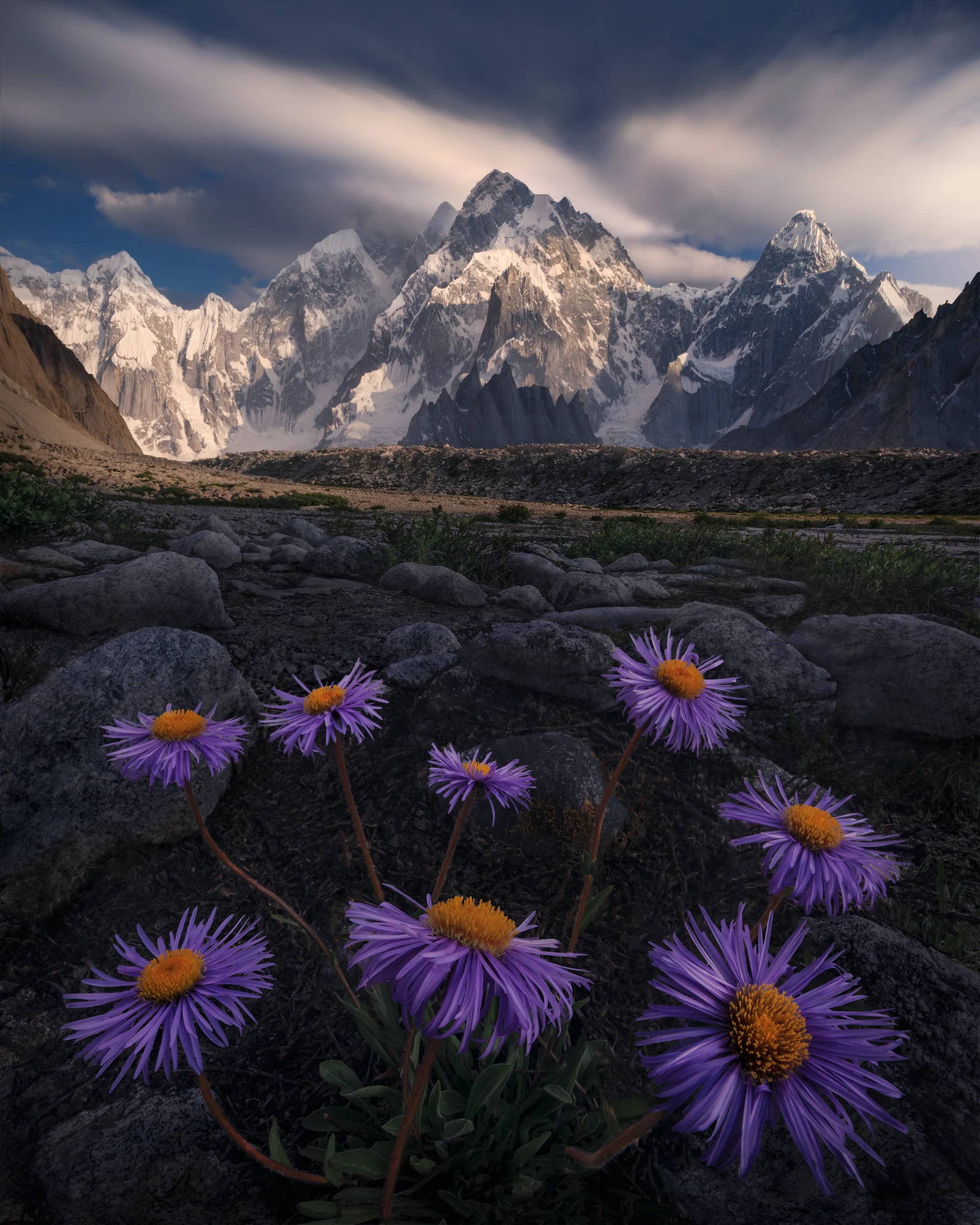 Whispers Beneath the Spires