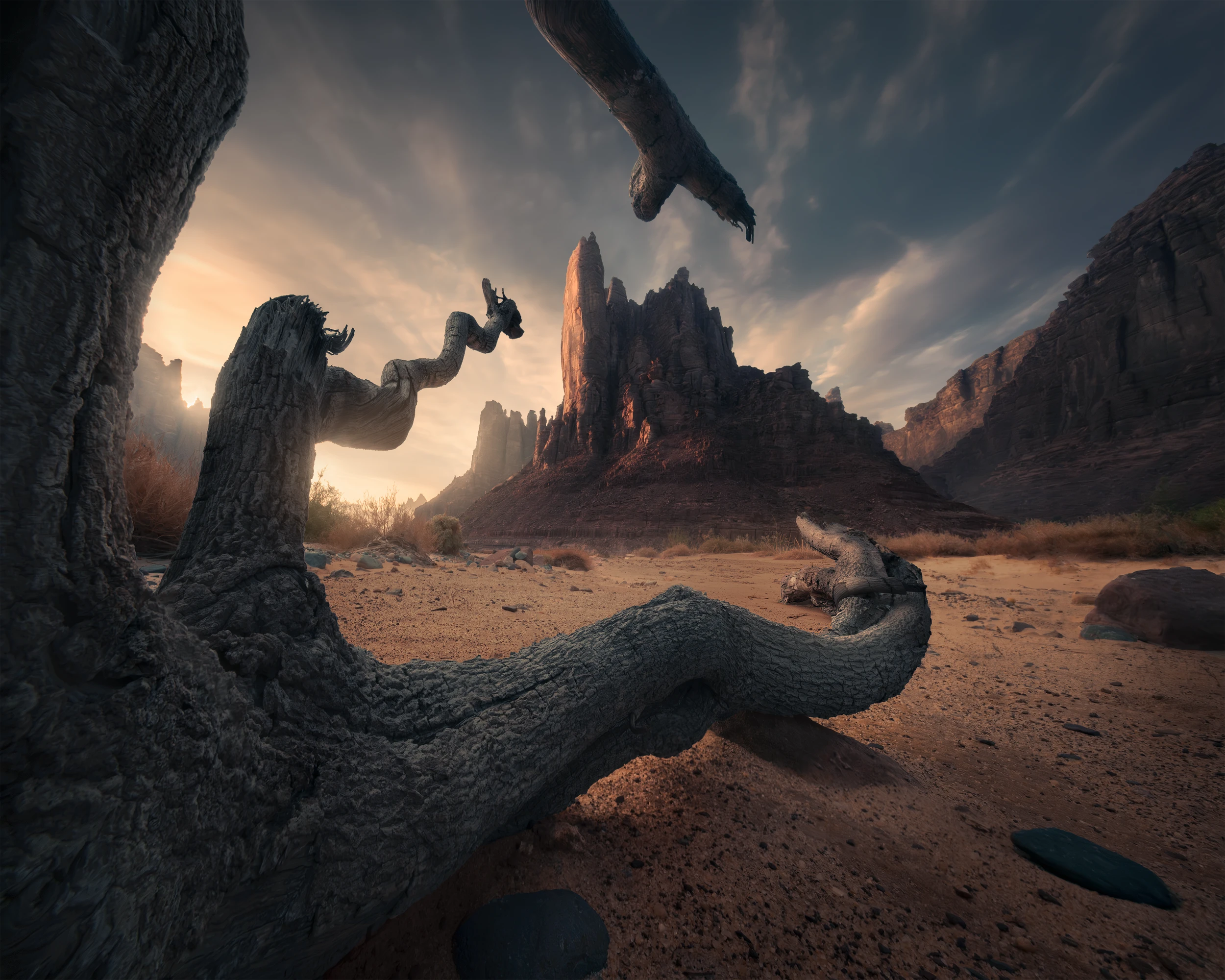 Weathered tree branches frame towering desert rock formations in warm golden light in Saudi Arabia.
